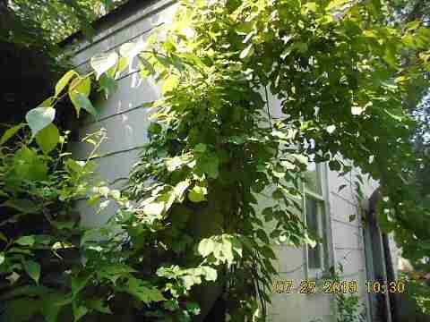 16732 Rockdale (4)_m.jpg